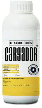 cargador